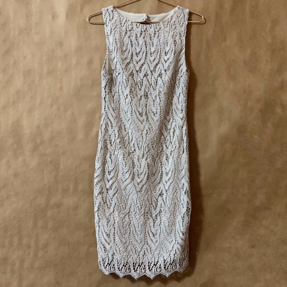 Alice + Olivia | Amea Metallic Lace Sheath Dress Back Cutout Sleeveless Size 2